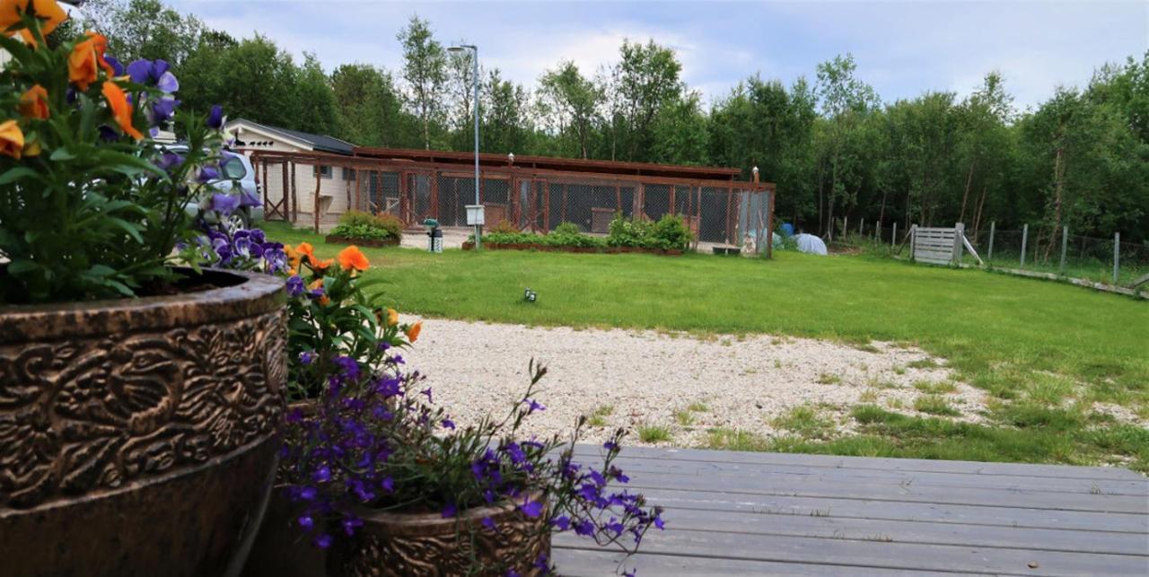 Fjellivet Villa Lakselv Esterno foto