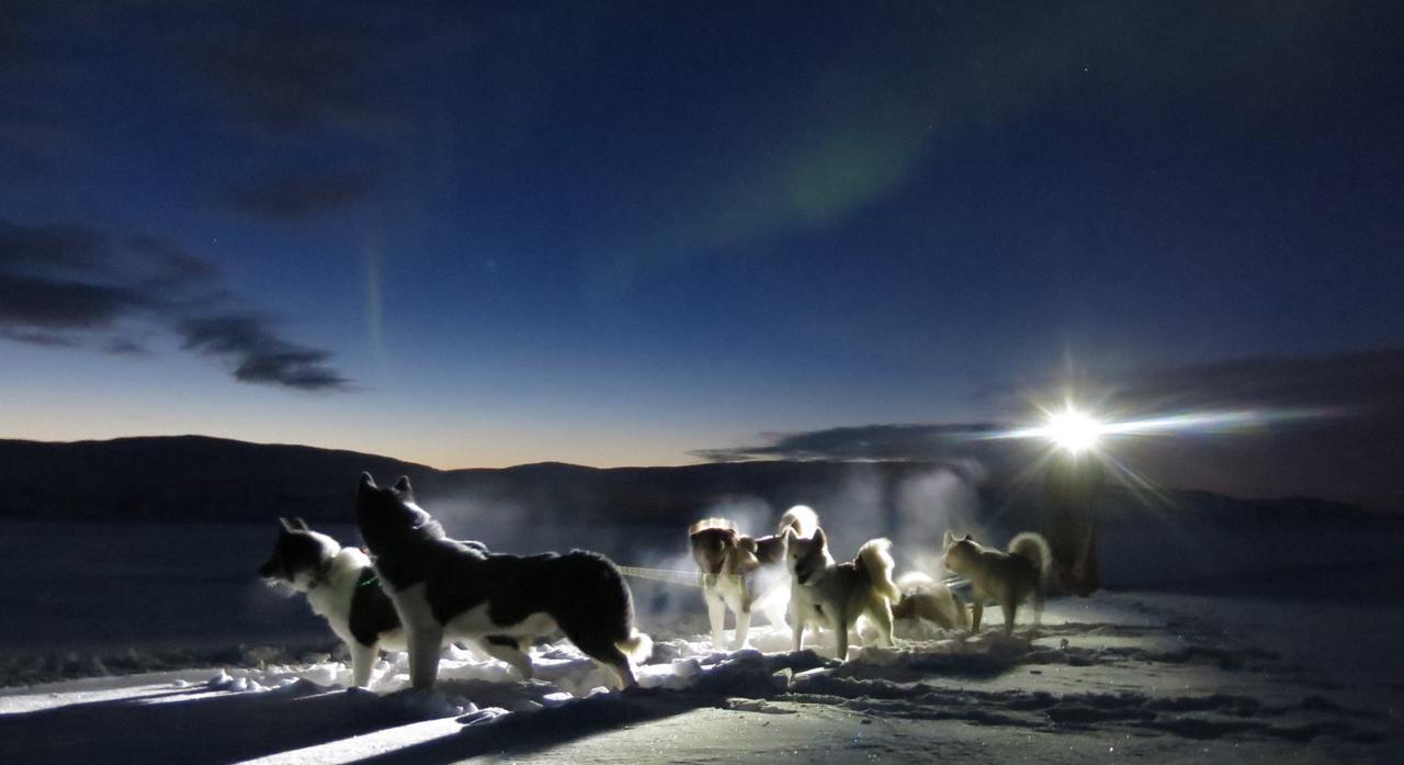 Fjellivet Villa Lakselv Esterno foto
